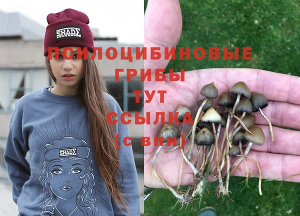 герыч Богородицк