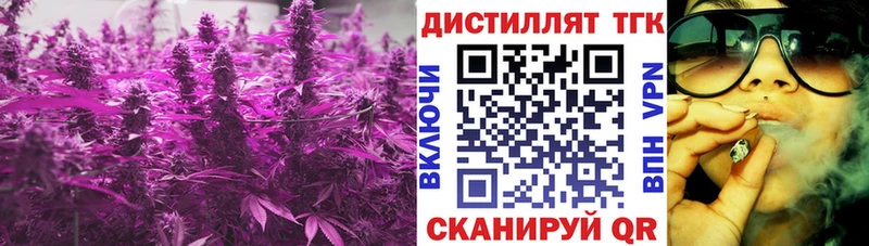 ТГК THC oil  площадка как зайти  Болотное 